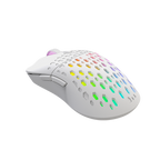 XTRIKE ME GM209W RGB GAMING MOUSE